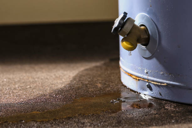 Best Water damage contractors near me  in Red Bud, IL