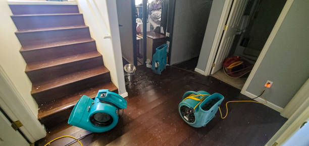 Best Professional water damage repair  in Red Bud, IL