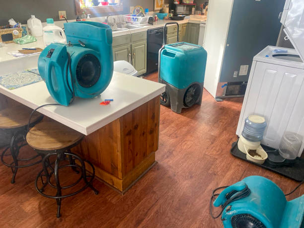 Best Fire Damage Restoration  in Red Bud, IL