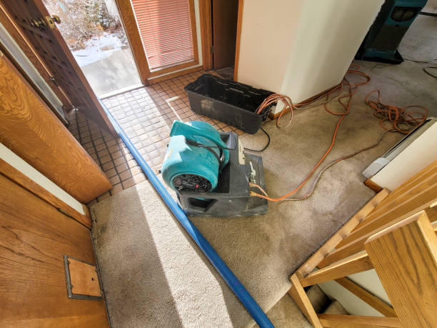 Best Flood restoration services  in Red Bud, IL