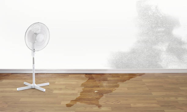 Best Emergency water damage restoration  in Red Bud, IL