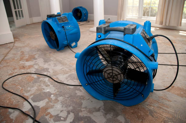 Best Carpet water damage restoration  in Red Bud, IL