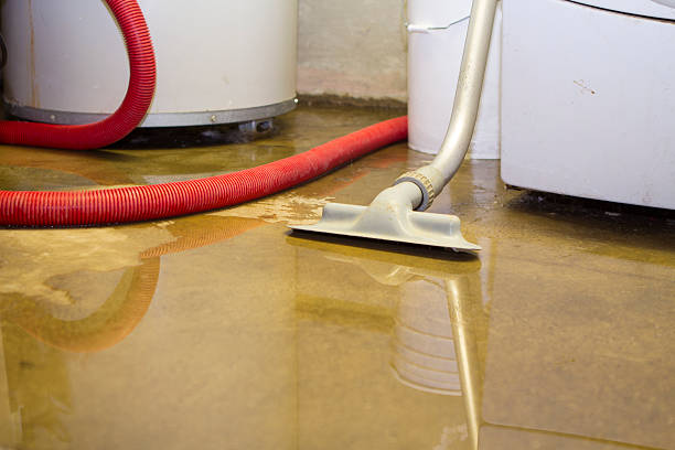 Best Emergency water extraction  in Red Bud, IL
