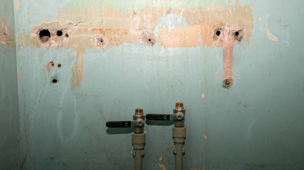 Best Sewage cleanup and water damage restoration  in Red Bud, IL