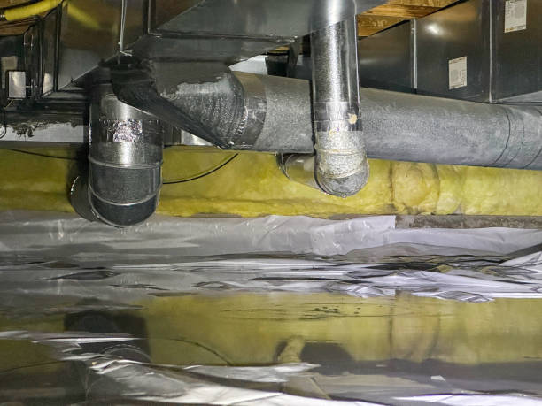 Trusted Red Bud, IL Water damage restoration Experts