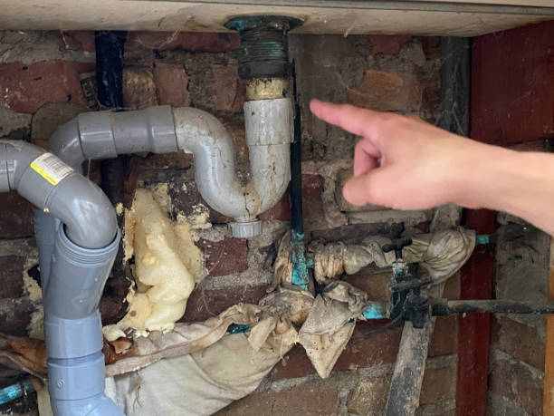 Best Flooded house restoration  in Red Bud, IL