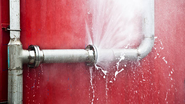 Best Water damage mitigation services  in Red Bud, IL